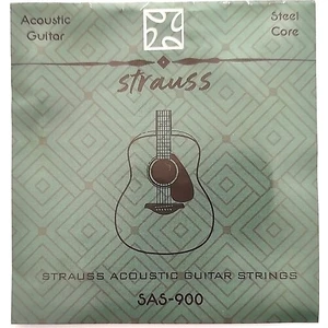 SAS-900 0.10 Akustik Gitar Takım Tel