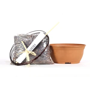 Bonsai Kurtarma ve Saksı Değişimi Kiti No.3 - Kahverengi