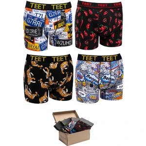 Teet Juan Raul Erkek Boxer Pamuklu Desenli 4'lü Premium Set