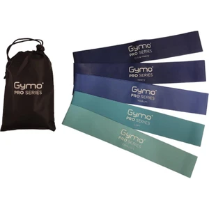Pro Series Çantalı Direnç Bandı Fitness Pilates Esnetme Lastiği 5'li Set Mavi