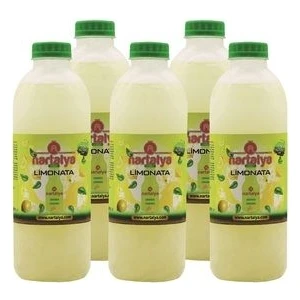 Dondurulmuş Doğal Limonata, Şeker İlavesiz 900 Ml.(5 Li Paket)