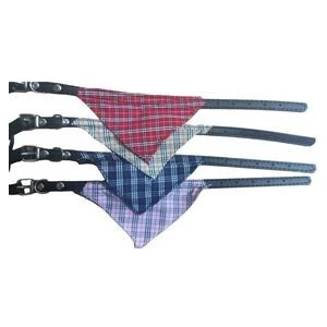 Fularlı Kedi Ve Küçük Orta Irk Köpek Boyun Tasması