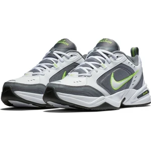 Air Monarch Iv Erkek Ayakkabı 415445-100