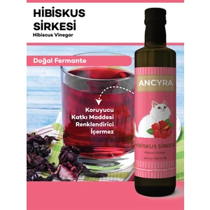 Hibiskus Sirkesi Doğal Fermante 500 ml