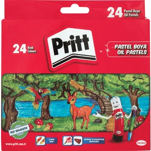 Pastel Boya Karton Kutu 24 Lü