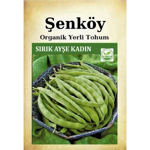 Sırık Taze Fasulye Tohumu Doğal Ata Kılçıksız Sırık Fasulye Tohum Pakette 25 gr