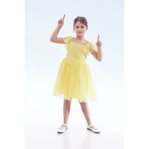 Kız Çocuk Kare Yaka Trend Tül Elbise AK2242