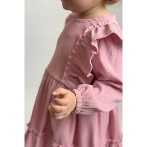 ALYRA Kız Çocuk Bebek Pembe Elbise Fermuarlı Fırfırlı Uzun Kollu Doğum Günü Parti Özel Gün Düğün Bayramlık Kadife Elbise ALY0440