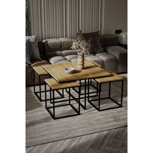 Home Plus Mobilya 4+1  Siyah Ayak Atlantik Çam Orta Sehpa