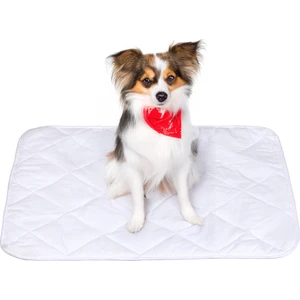 Denizli Alez Yıkanabilir, Kapitoneli Sıvı Geçirmez Kedi Ve Köpek Çiş Pedi