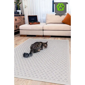 Melaris Halı Kedi Köpek Evcil Hayvan Halısı Kolay Temizlenebilir Hasır Halı Beda Pet