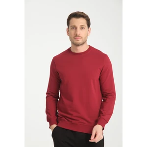 Bisiklet Yaka Basic  Ince Mevsimlik  Sweatshirt RD23YE581001