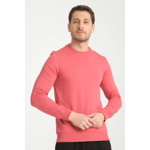 Bisiklet Yaka Basic  Ince Mevsimlik  Sweatshirt RD23YE581001