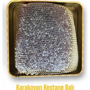 Organik Karakovan Kestane Balı 1 Kg. [YENİ SEZON]