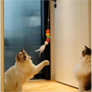 Kedi Oyuncağı Yapışkanlı Olta Eğitim Oyuncağı Kendinden Yapışkanlı Uzayan  Renkli Kedi Oyun Oltası