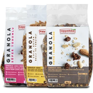 3'lü Granola Seti