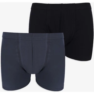 Erkek 2'li Pamuklu Likralı Lastikli Boxer