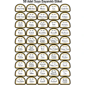 Color House 50 Adet Baharat Etiketi