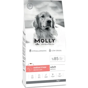 Medium Adult Derma Care Somonlu Orta ve Büyük Irk Yetişkin Köpek Maması 2 kg
