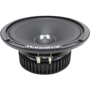 Deaf Bonce Hannibal Hm-6s 16 cm 200W 100RMS Spl Midrange 1 Takım 2 Adet