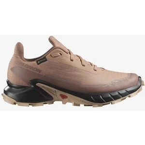 Alphacross 5 Gtx Outdoor Kadın Ayakkabı