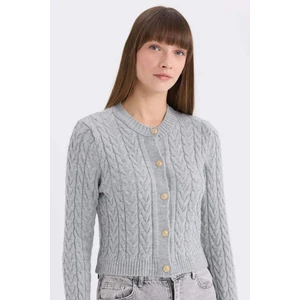 Regular Fit Bisiklet Yaka Saç Örgülü Düğmeli Hırka C9044AX25SP