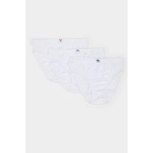 Erkek Çocuk 3'lü Slip Külot E1581A824AU