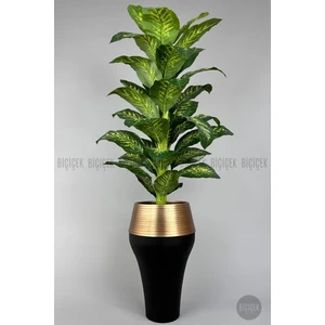 190 cm Difenbahya Bitkisi Cleopatra Saksıda Siyah Gold