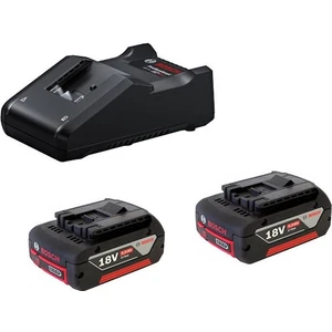 18V Başlangıç Seti 2x5.0 Ah + Gal 18V-40