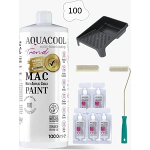 Aquacool Trend Su Bazlı Akrilik Hobi Boya 1000 ml Rulo Katalizör Boyacı Tavası Hibrit Dönüşüm Boyası Seti Pamuk Beyaz