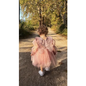 ALYRA Kız Çocuk Pembe Elbise Kız Bebek Uzun Kollu Kanatlı Doğum Günü Parti Düğün Özel Gün Tüllü Tütü Astarlı Prenses Elbise Çocuk Giyim ALY0330