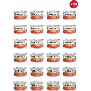 Shinycat Broth (Sos Içinde) Somon Balıklı Kedi Konservesi 70gr x 24 Adet