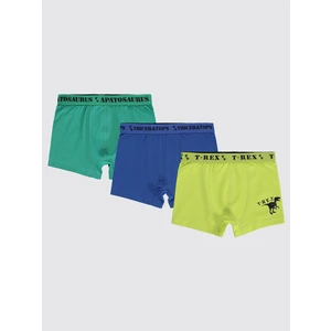 Civil Boys Erkek Çocuk 3'lü Boxer Set 2-10 Yaş  Yeşil