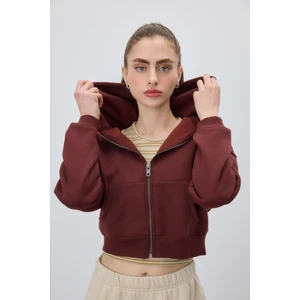 Kadın Çikolata Kapüşonlu Şardonlu Crop Sweatshirt