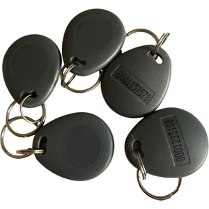 Manyetik Anahtarlık/göstergeç Anahtarlık/ Göstergeç Çip 5 Adet