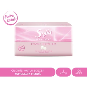 Skin Love Pudra Kokulu Mendil 100'lü