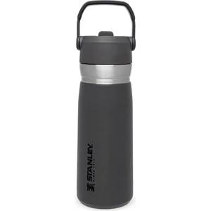 Go Iceflow Flip Straw Su Termosu 0,65 L Füme