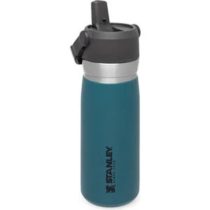Go Iceflow Flip Straw Su Termosu 0,65 L Petrol