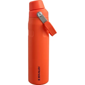 The Aerolight Iceflow Su Matarası Fast Flow 0.6 L Tigerlily
