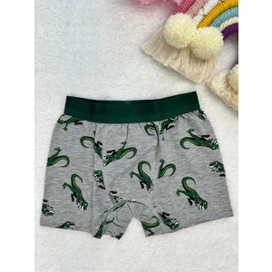 Minykids Dinozor Desenli Boxer