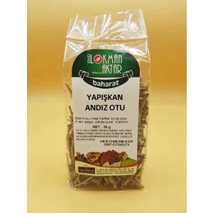 Lokman Aktar Yapışkan Andız Otu 50 gr