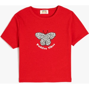 Pamuklu Kelebek Baskılı Bisiklet Yaka Kısa Kollu Crop Tişört