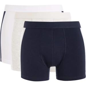 Regular Fit 3'lü Boxer C9559AX24WN