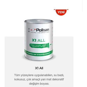 X1 All Dönüşüm Boyası Iğde DALI(4527) 1 kg