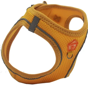 Air-Mesh Gold Köpek Göğüs Tasması