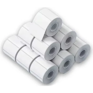 Phomemo Lamine Termal Etiket - 10 Rulo