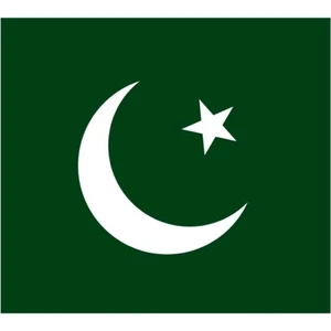 Pakistan Bayrağı  30X45 Cm.
