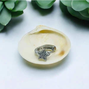 Cerrahi Çelik Tam Tur Taşlı Yıldız Model Silver Tragus Helix Uyumlu Piercing