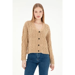 U.S. Polo Assn. Kadın Kum Melanj Hırka (Triko) 50293020-VR123