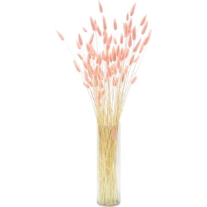 Kurutulmuş Lagurus (Pamuk Otu) Demeti Pembe